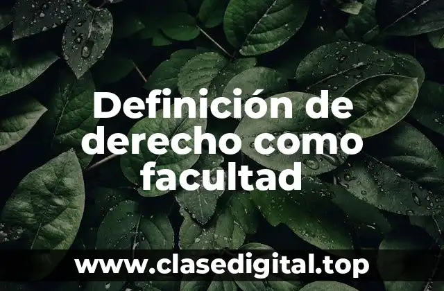 Definición de derecho como facultad