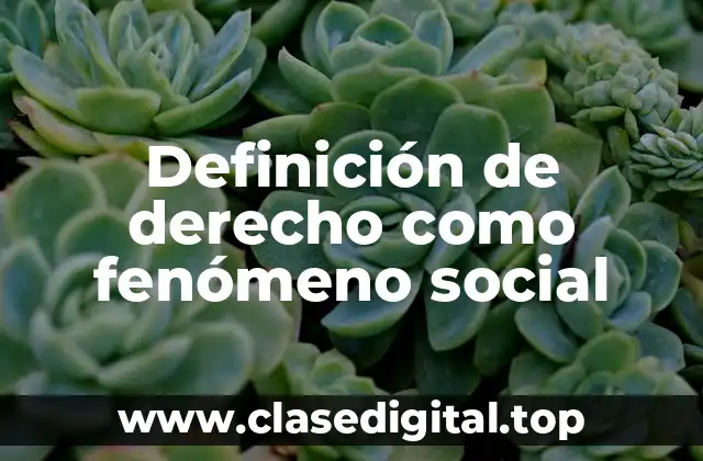 Definición técnica de derecho como fenómeno social