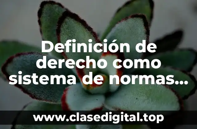 Definición de derecho como sistema de normas jurídicas