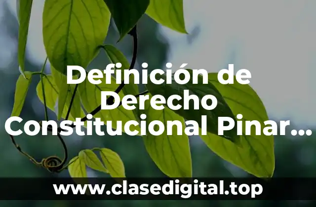 Definición de Derecho Constitucional Pinar Vara
