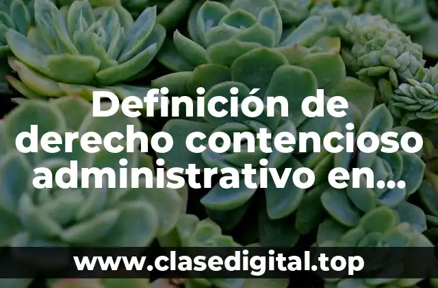 Definición de derecho contencioso administrativo en México
