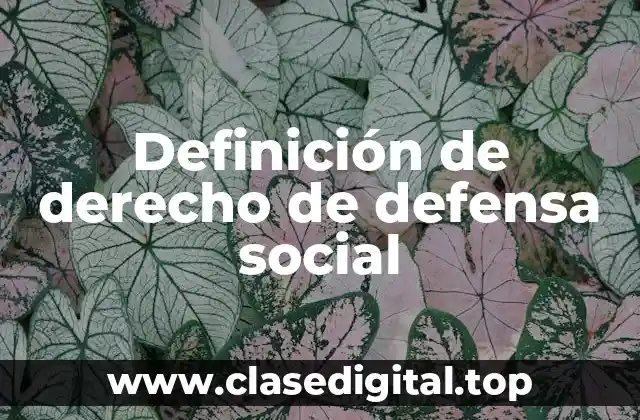 Definición de derecho de defensa social
