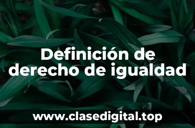 Definición de derecho de igualdad