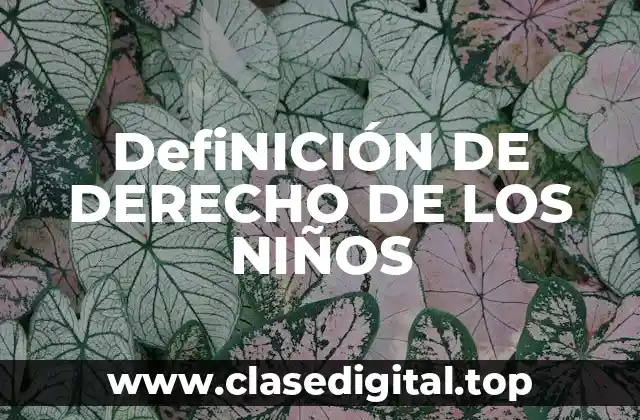 DefiNICIÓN DE DERECHO DE LOS NIÑOS