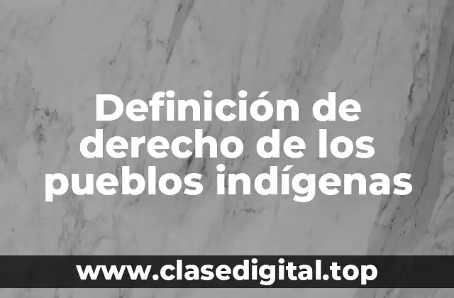 Definición técnica del derecho de los pueblos indígenas