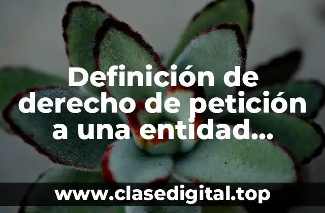 Definición de derecho de petición a una entidad pública