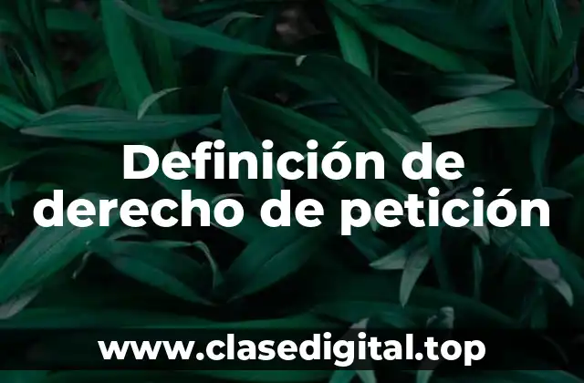 Definición de derecho de petición