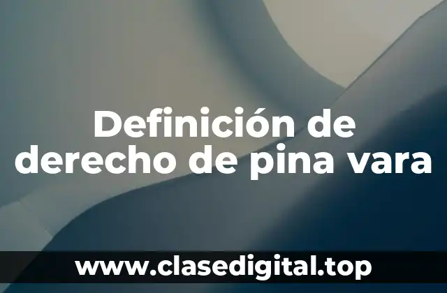 Definición de derecho de pina vara