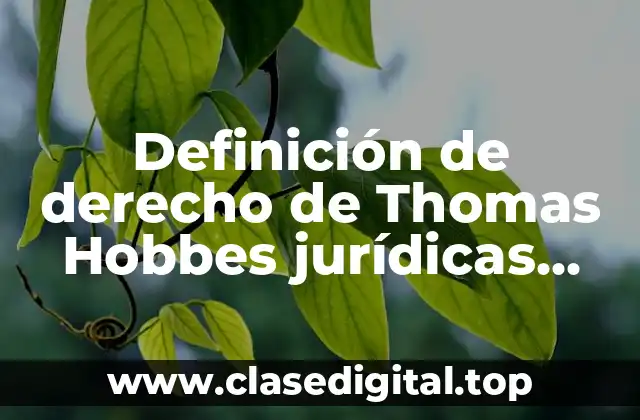 Definición de derecho de Thomas Hobbes jurídicas UNAM
