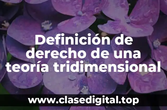Definición de derecho de una teoría tridimensional
