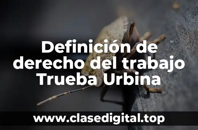 Definición de derecho del trabajo Trueba Urbina