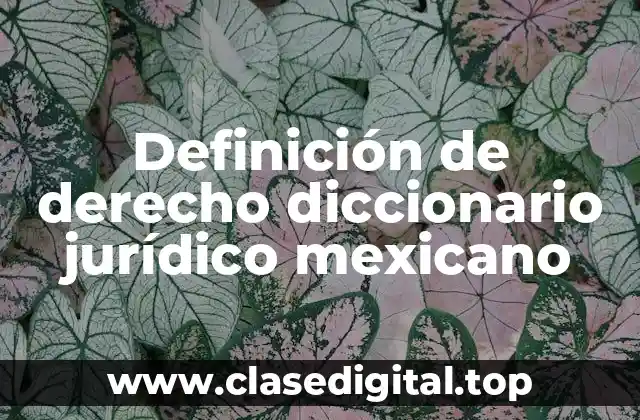 Definición de derecho diccionario jurídico mexicano