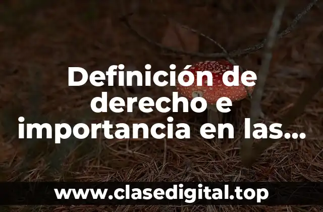 Definición de derecho e importancia en las relaciones humanas