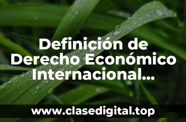 Definición de Derecho Económico Internacional Público y Privado