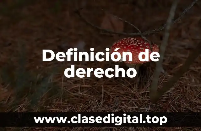 Definición técnica de derecho
