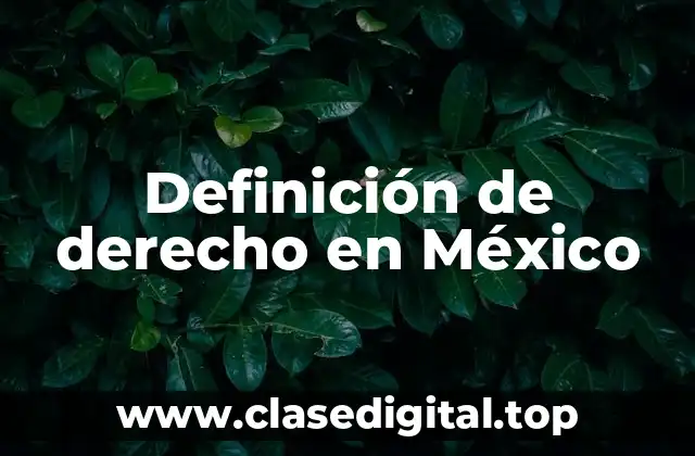 Definición de derecho en México