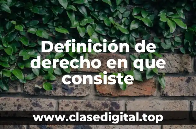 Definición de derecho en que consiste