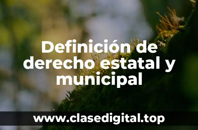 Definición de derecho estatal y municipal