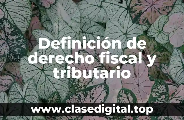 Definición de derecho fiscal y tributario