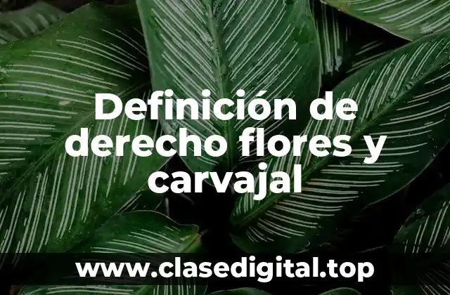 Definición de derecho flores y carvajal