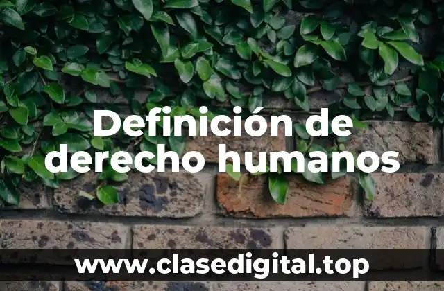 Definición de derecho humanos