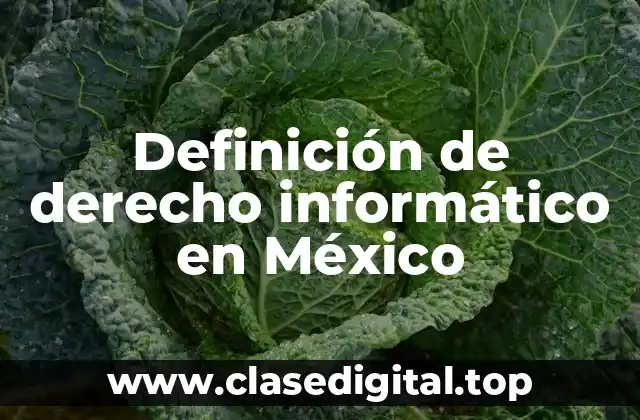Definición de derecho informático en México