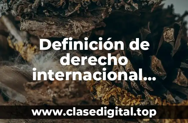 Definición de derecho internacional privado de Arellano García
