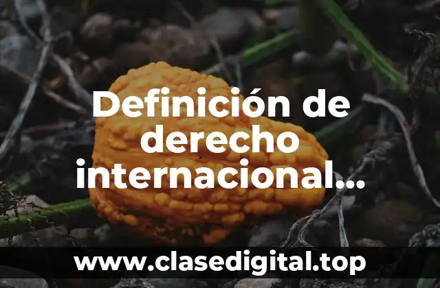 Definición de derecho internacional privado y su divición
