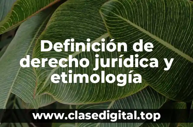 Definición técnica de derecho jurídica