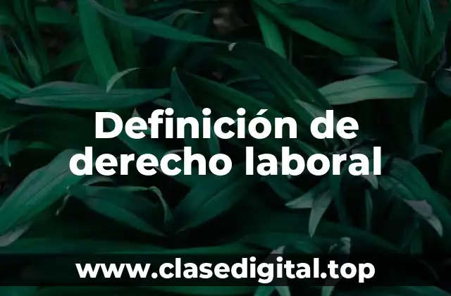 Definición técnica de derecho laboral