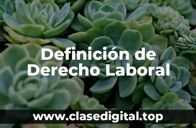 Definición Técnica de Derecho Laboral