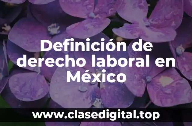 Definición de derecho laboral en México