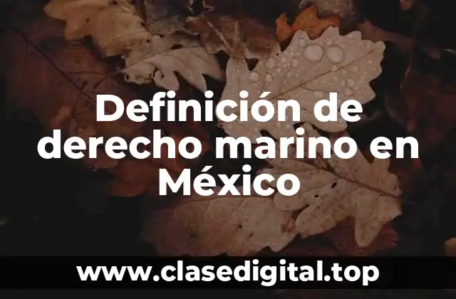 Definición de derecho marino en México