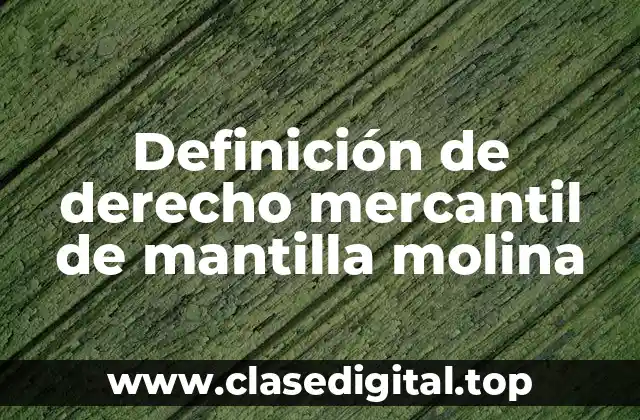 Definición de derecho mercantil de mantilla molina