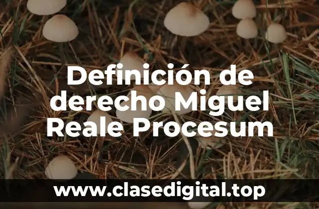 Definición técnica de derecho Miguel Reale procesum