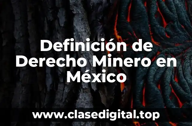 Definición de Derecho Minero en México