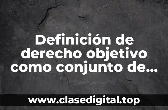 Definición de derecho objetivo como conjunto de normas jurídicas