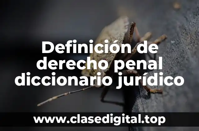 Definición de derecho penal diccionario jurídico