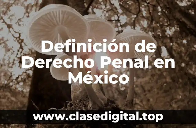 Definición de Derecho Penal en México