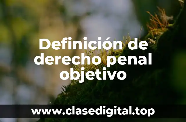 Definición de derecho penal objetivo