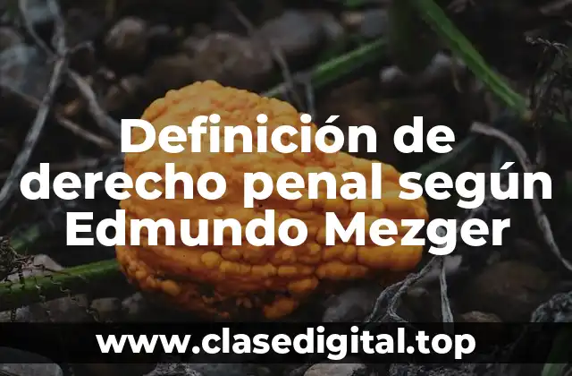 Definición de derecho penal según Edmundo Mezger