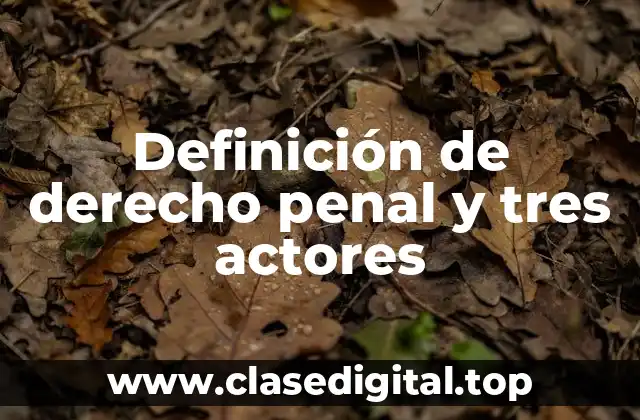 Definición de derecho penal y tres actores