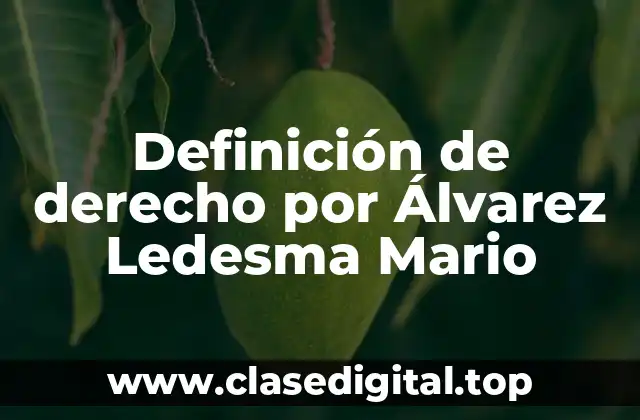 Definición de derecho por Álvarez Ledesma Mario