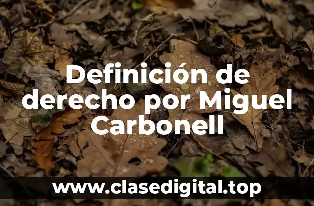 Definición de derecho por Miguel Carbonell