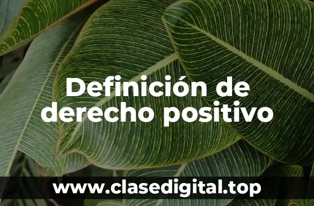 Definición de derecho positivo