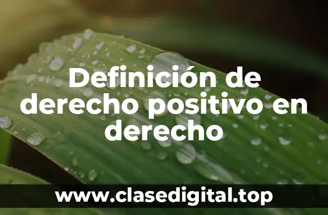 Definición de derecho positivo en derecho