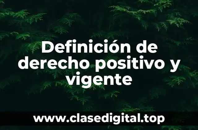 Definición de derecho positivo y vigente