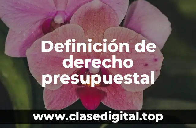 Definición de derecho presupuestal