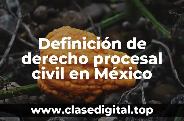 Definición de derecho procesal civil en México