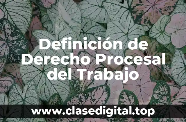 Definición de Derecho Procesal del Trabajo